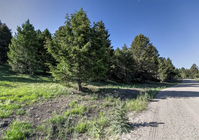 Homes for sale in Deer Lodge, MT | Phase 3A Dolus Lake Rd #Lot 6, Deer Lodge, MT 59722 | MLS# 30069497