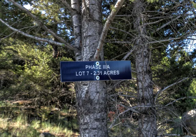 Homes for sale in Deer Lodge, MT | Phase 3A Dolus Lakes Rd #Lot 7, Deer Lodge, MT 59722 | MLS# 30069531