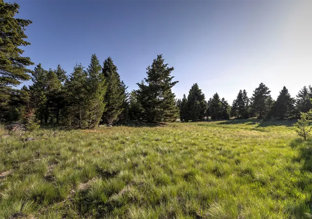 Homes for sale in Deer Lodge, MT | Phase 3A Dolus Lakes Rd #Lot 7, Deer Lodge, MT 59722 | MLS# 30069531
