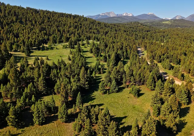 1st image of Nhn Lot 8 Phase 3a Dolus Lakes Rd, Deer Lodge, MT 59722 | MLS# 30069535