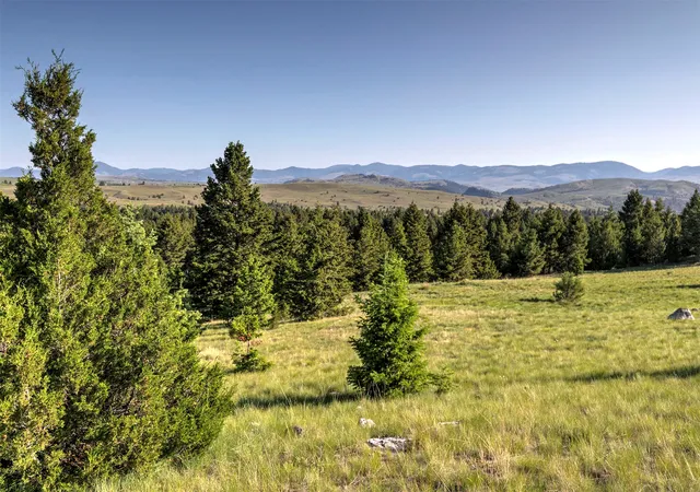 3rd image of Nhn Lot 8 Phase 3A Dolus Lakes Rd, Deer Lodge, MT 59722 | MLS# 30069535
