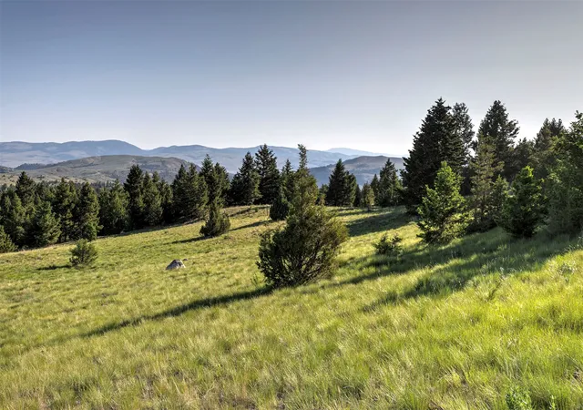 4th image of Nhn Lot 8 Phase 3A Dolus Lakes Rd, Deer Lodge, MT 59722 | MLS# 30069535