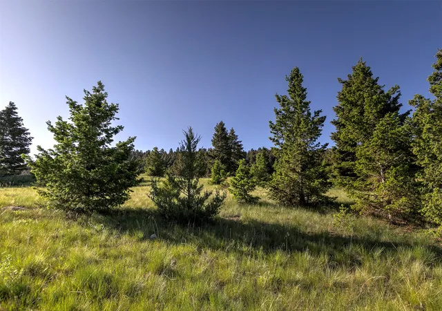 5th image of Nhn Lot 8 Phase 3A Dolus Lakes Rd, Deer Lodge, MT 59722 | MLS# 30069535