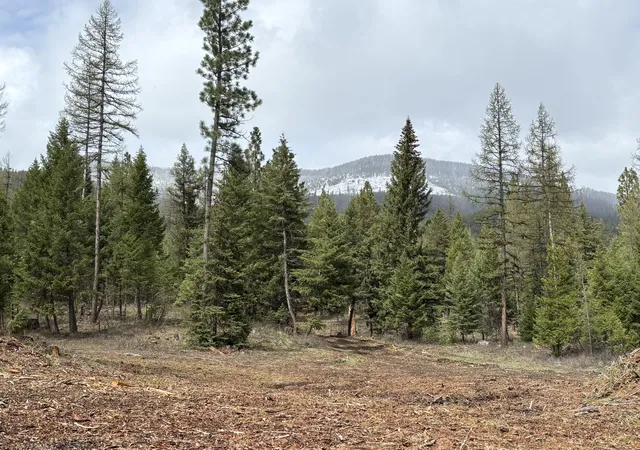1st image of 301 Haskill Ranch Rd #Lot 37, Kila, MT 59920 | MLS# 30069585