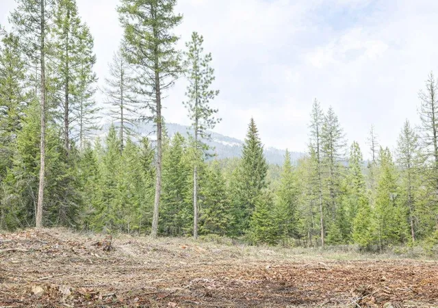 Photo 2 of Land for sale at 301 Haskill Ranch Rd #37, Kila, MT 59920 | MLS# 30069585 | Listing updated on 2026-08-01