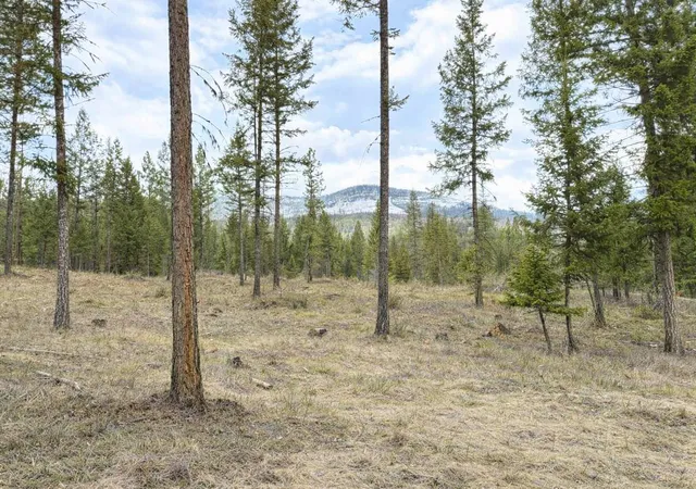 Photo 3 of Land for sale at 301 Haskill Ranch Rd #37, Kila, MT 59920 | MLS# 30069585 | Listing updated on 2026-08-01