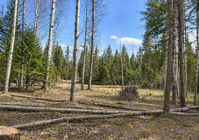 Photo 2 of Land for sale at 80 Blaney Ln #31, Kila, MT 59920 | MLS# 30069599 | Listing updated on 2026-08-01