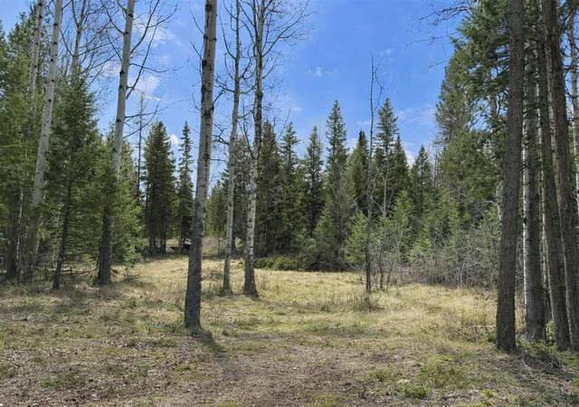 Photo 3 of Land for sale at 80 Blaney Ln #31, Kila, MT 59920 | MLS# 30069599 | Listing updated on 2026-08-01