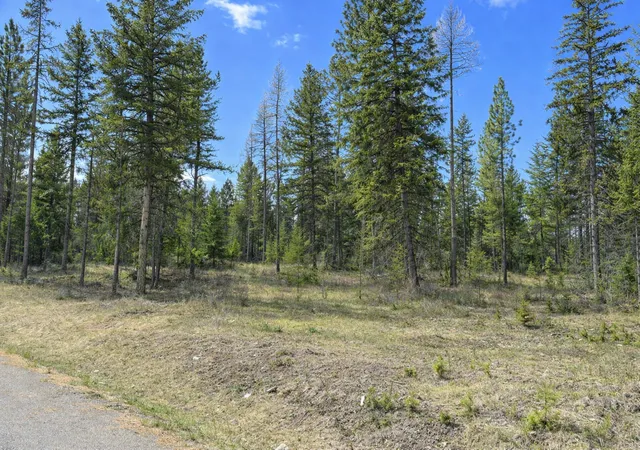 Photo 4 of Land for sale at 80 Blaney Ln #31, Kila, MT 59920 | MLS# 30069599 | Listing updated on 2026-08-01