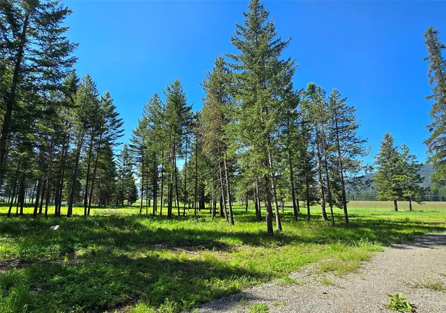 Homes for sale in Trout Creek, MT | 19 Faro Ln, Trout Creek, MT 59874 | MLS# 30069672