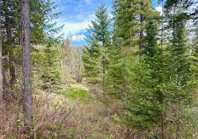 Homes for sale in Trout Creek, MT | 4 Buck Ct, Trout Creek, MT 59874 | MLS# 30069231