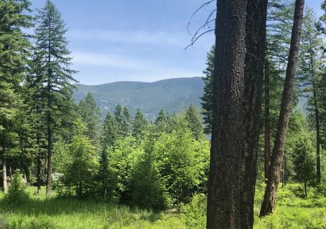 2nd image of 56 Wood Ridge Dr, Columbia Falls, MT 59912 | MLS# 30069880