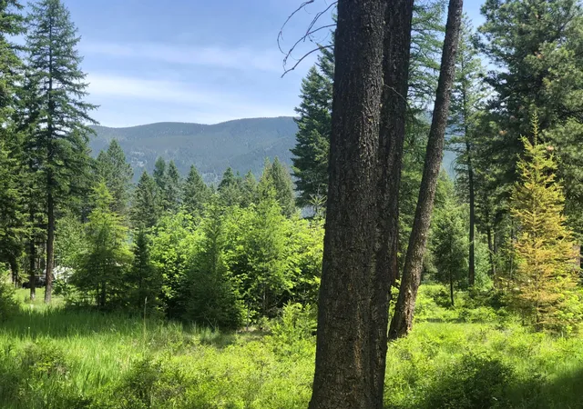 Photo 3 of Land for sale at 56 Wood Ridge Dr, Columbia Falls, MT 59912 | MLS# 30069880 | Listing updated on 2026-07-01