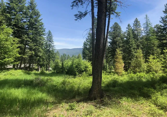 Photo 3 of Land for sale at 56 Wood Ridge Dr, Columbia Falls, MT 59912 | MLS# 30069880 | Listing updated on 2026-07-01
