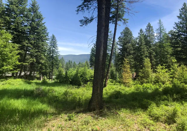 Photo 4 of Land for sale at 56 Wood Ridge Dr, Columbia Falls, MT 59912 | MLS# 30069880 | Listing updated on 2026-07-01