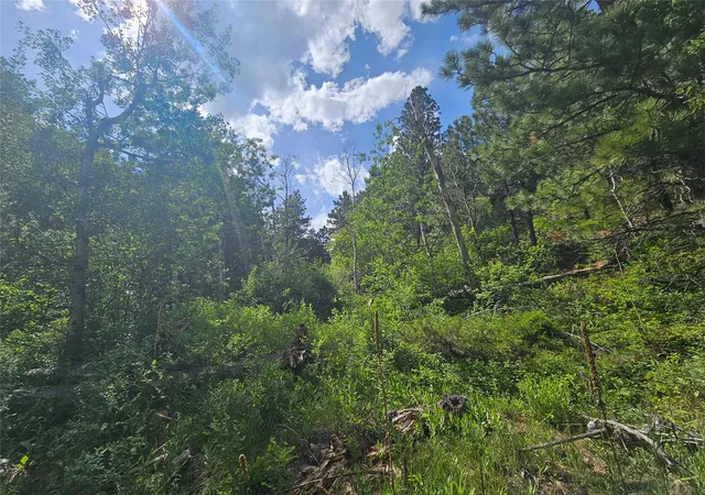 5th image of 37 Outer Loop Rd, Cascade, MT 59421 | MLS# 30069612