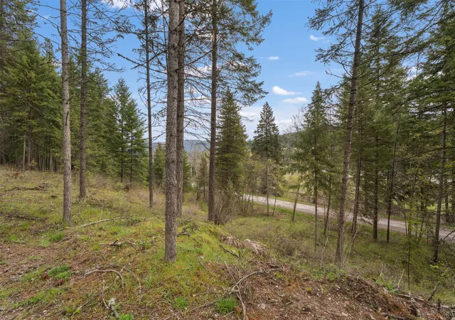 31st image of 132 Spirit Walk Ln, Superior, MT 59872 | MLS# 30069000