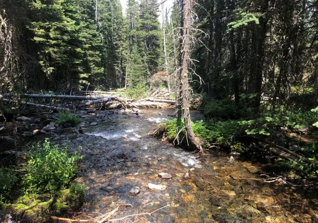 Photo 1 of Land for sale at 7 S Boulder Rd, Cardwell, MT 59721 | MLS# 30069777 | Listing updated on 2026-07-31