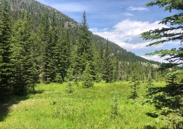 Photo 3 of Land for sale at 7 S Boulder Rd, Cardwell, MT 59721 | MLS# 30069777 | Listing updated on 2026-07-31