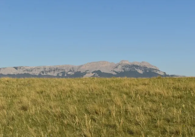 Homes for sale in Augusta, MT | Lot 50 Meadowlark Ln, Augusta, MT 59410 | MLS# 30070060