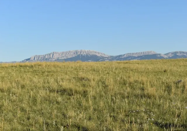 Homes for sale in Augusta, MT | Lot 50 Meadowlark Ln, Augusta, MT 59410 | MLS# 30070060