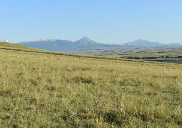 Homes for sale in Augusta, MT | Lot 50 Meadowlark Ln, Augusta, MT 59410 | MLS# 30070060