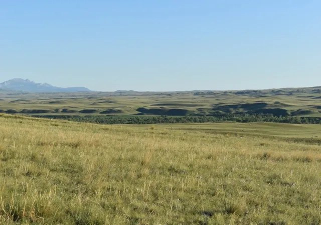 Homes for sale in Augusta, MT | Lot 50 Meadowlark Ln, Augusta, MT 59410 | MLS# 30070060