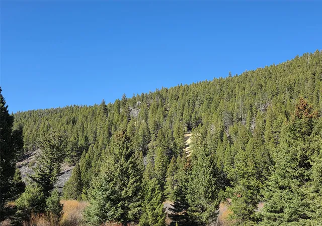 Homes for sale in Elliston, MT | Tbd Little Blackfoot Rvr Little Blackfoot River Rd, Elliston, MT 59728 | MLS# 30069701