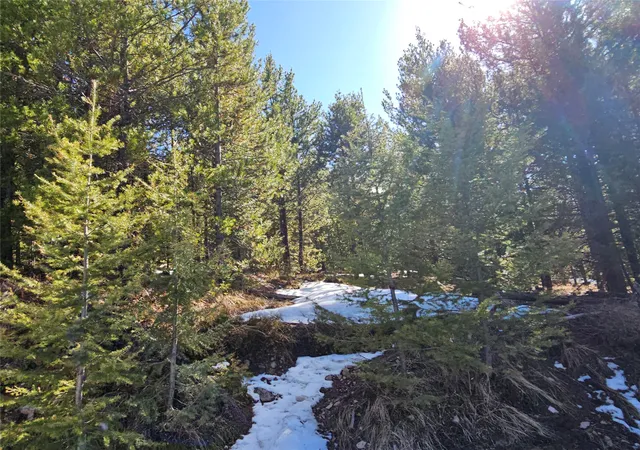 Homes for sale in Helmville, MT | Nhn Elk Horn Rd, Helmville, MT 59843 | MLS# 30070127