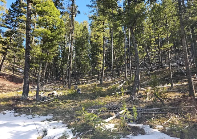 Homes for sale in Helmville, MT | Nhn Elk Horn Rd, Helmville, MT 59843 | MLS# 30070127