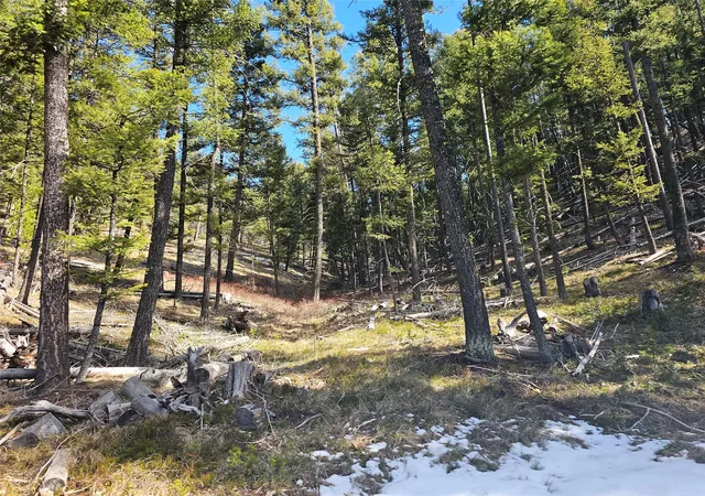 Homes for sale in Helmville, MT | Nhn Elk Horn Rd, Helmville, MT 59843 | MLS# 30070127
