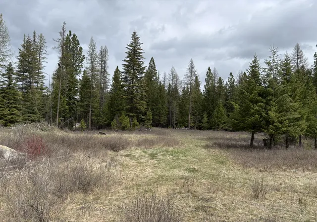 1st image of 52 Haskill Ranch Rd #Lot-3, Kila, MT 59920 | MLS# 30070002