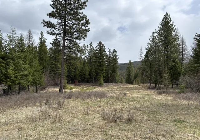 Photo 2 of Land for sale at 52 Haskill Ranch Rd #3, Kila, MT 59920 | MLS# 30070002 | Listing updated on 2026-08-01