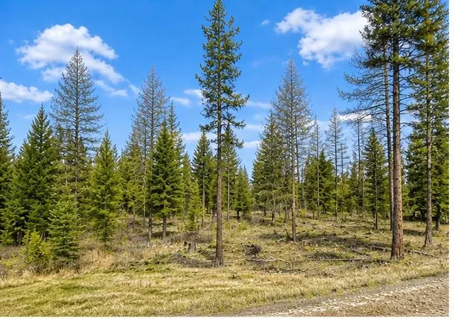 Photo 2 of Land for sale at 237 Haskill Ranch Rd #38, Kila, MT 59920 | MLS# 30069991 | Listing updated on 2026-08-01