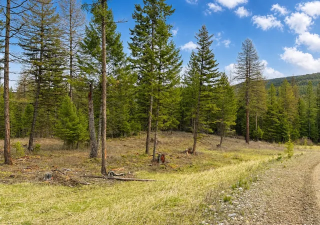 Photo 3 of Land for sale at 237 Haskill Ranch Rd #38, Kila, MT 59920 | MLS# 30069991 | Listing updated on 2026-08-01