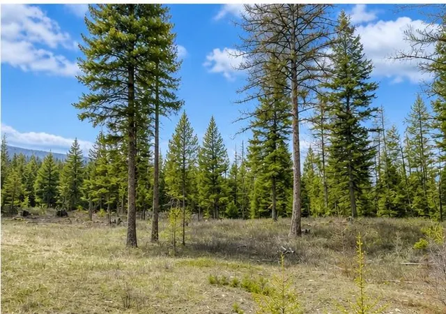 Photo 4 of Land for sale at 237 Haskill Ranch Rd #38, Kila, MT 59920 | MLS# 30069991 | Listing updated on 2026-08-01