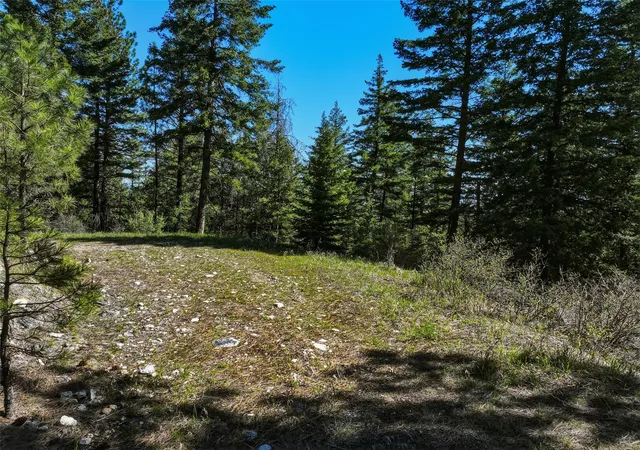 17th image of Tract 29a Castle View Dr, Victor, MT 59875 | MLS# 30069767