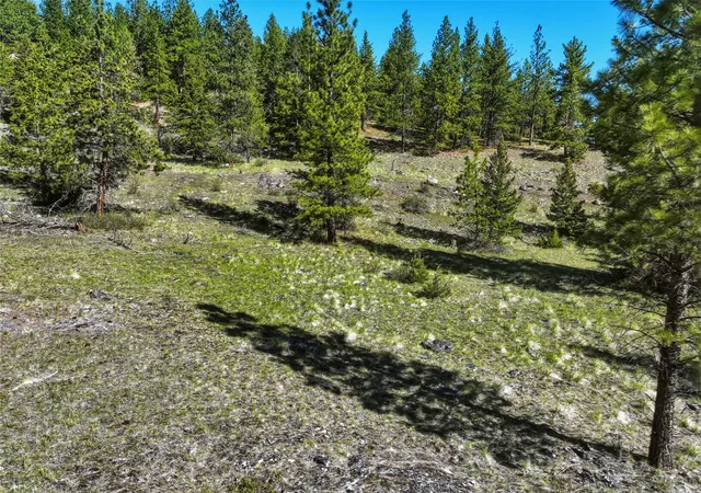 3rd image of Tract 29A Castle View Dr, Victor, MT 59875 | MLS# 30069767