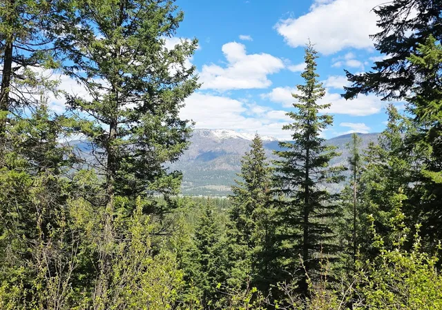 Homes for sale in Thompson Falls, MT | 93 Wapiti Point Rd, Thompson Falls, MT 59873 | MLS# 30070215