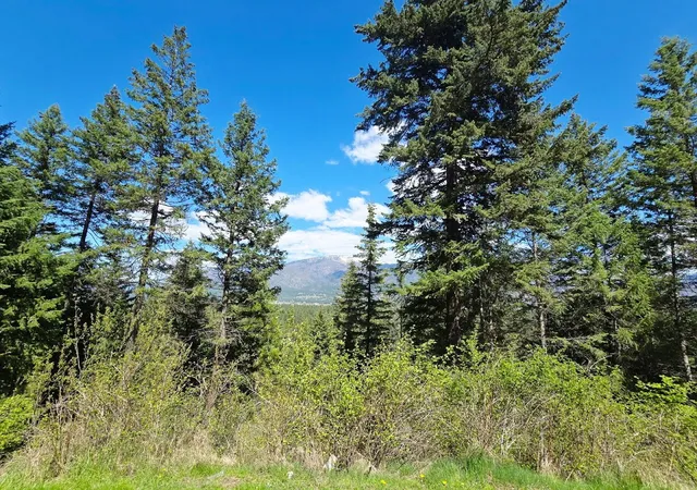 Homes for sale in Thompson Falls, MT | 93 Wapiti Point Rd, Thompson Falls, MT 59873 | MLS# 30070215