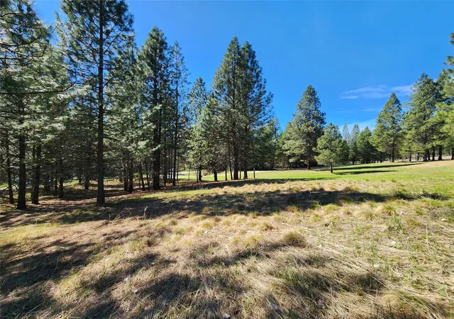 3rd image of Lot 1 River Rd, Troy, MT 59935 | MLS# 30070249