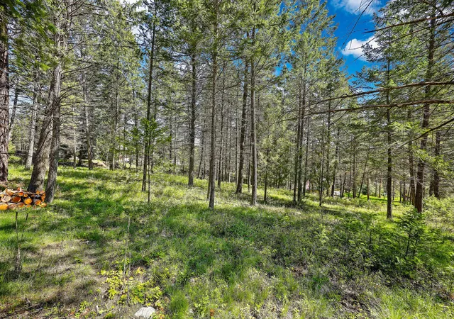 3rd image of 267 Lakeview Dr, Lakeside, MT 59922 | MLS# 30069768