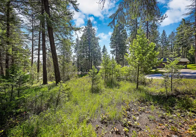 5th image of 267 Lakeview Dr, Lakeside, MT 59922 | MLS# 30069768