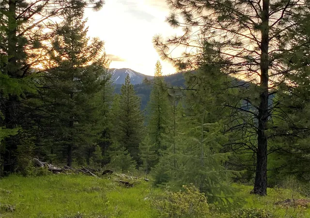 2nd image of Lots 5 & 6 Panoramic View Dr, Libby, MT 59923 | MLS# 30070326