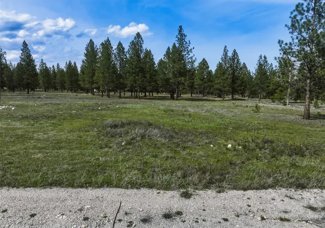 23rd image of Nhn Mill Creek Rd, Hamilton, MT 59840 | MLS# 30070269