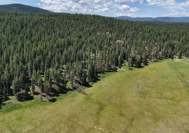 Homes for sale in Fortine, MT | 340 Eagle Lake Loop, Fortine, MT 59918 | MLS# 30070396