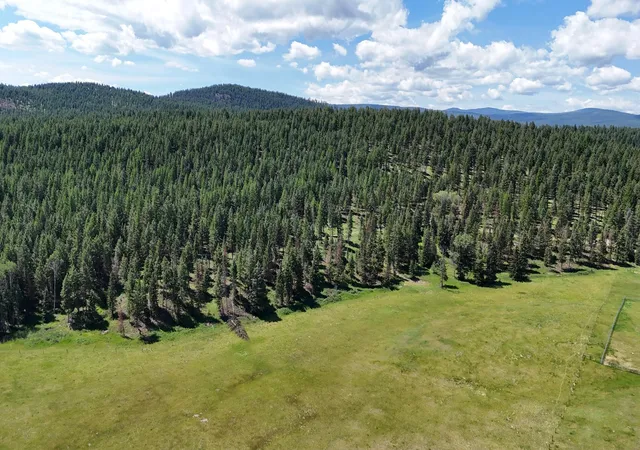Homes for sale in Fortine, MT | 340 Eagle Lake Loop, Fortine, MT 59918 | MLS# 30070396