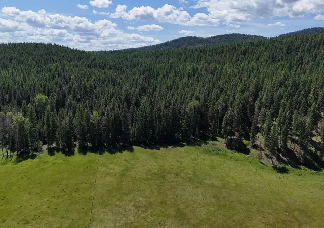 Homes for sale in Fortine, MT | 340 Eagle Lake Loop, Fortine, MT 59918 | MLS# 30070396
