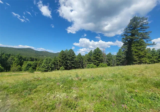 1st image of Lot 83 Hoover Creek Rd, Helmville, MT 59843 | MLS# 30070428