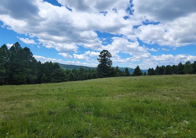 2nd image of Lot 83 Hoover Creek Rd, Helmville, MT 59843 | MLS# 30070428